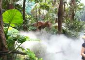 High pressue Mist Makers in Park